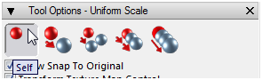 50 Tool Options Uniform Scale